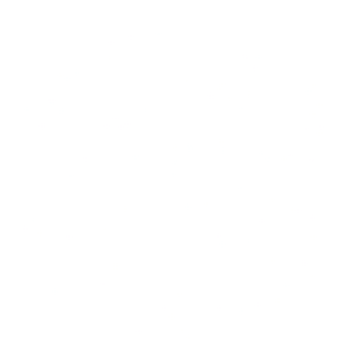 Databank Solutions